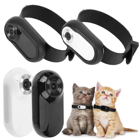 Caméra de collier pour chien et chat