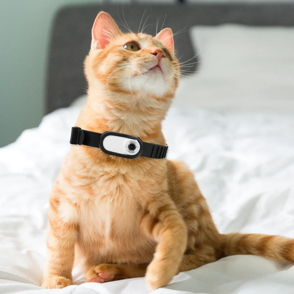 Caméra de collier pour chien et chat