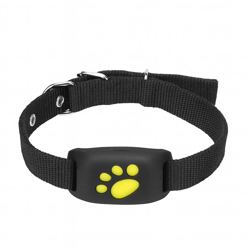 Traceurs GPS pour chien
